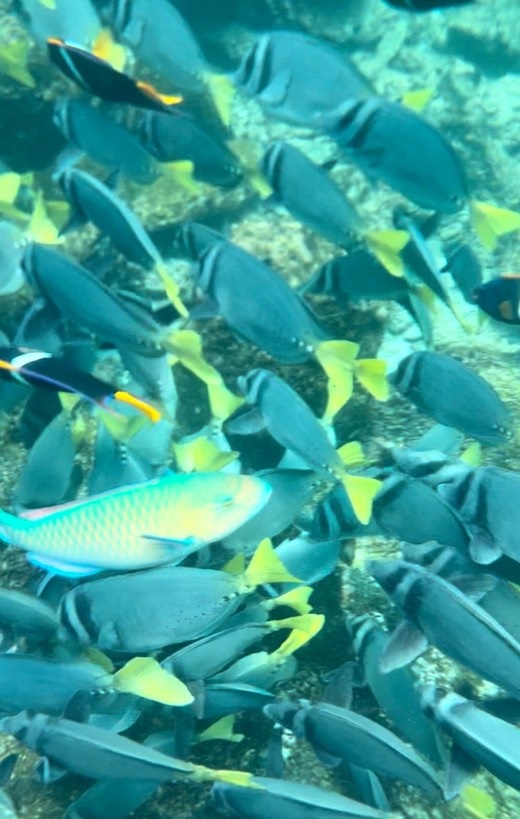 Ecuador Galapagos Reisebericht 2023 – HaJo & Beate Foto 54