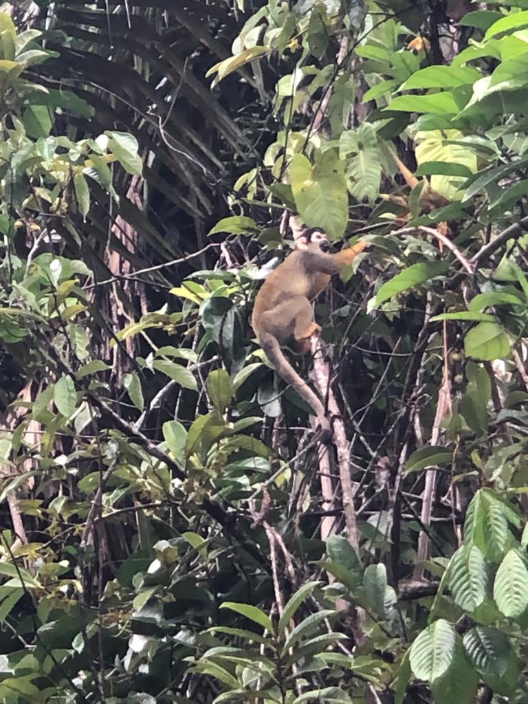 Ecuador Reisebericht 2022 – Fiona & Martin Foto 13