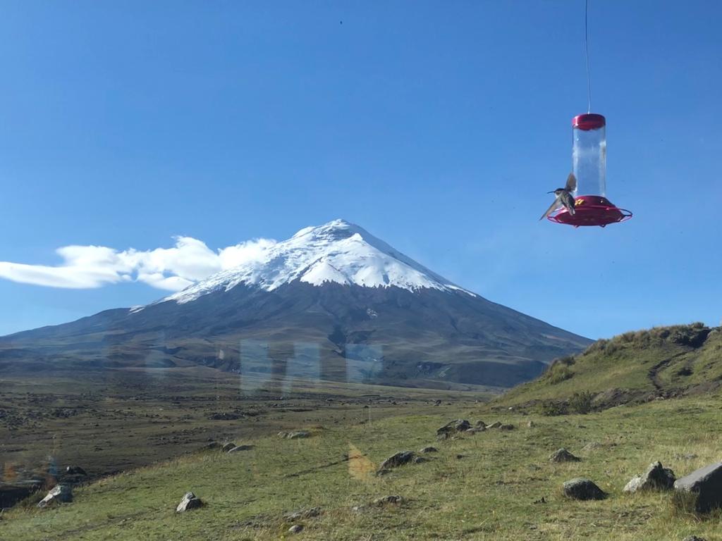 Ecuador Reisebericht 2022 – Fiona & Martin Foto 6
