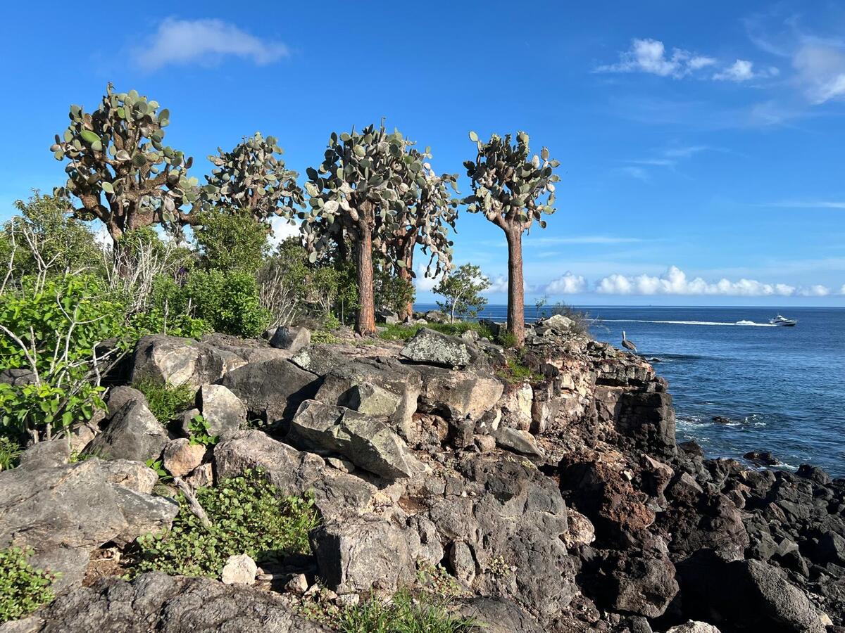 Galapagos Reisebericht 2024 – Andreas aus Stuttgart Foto 2