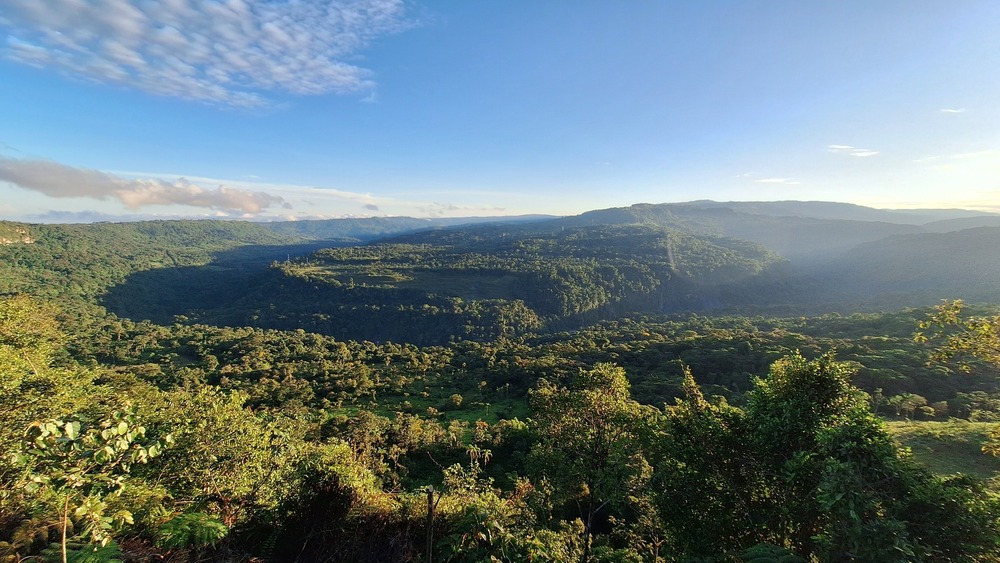 Amazonas Landschaft