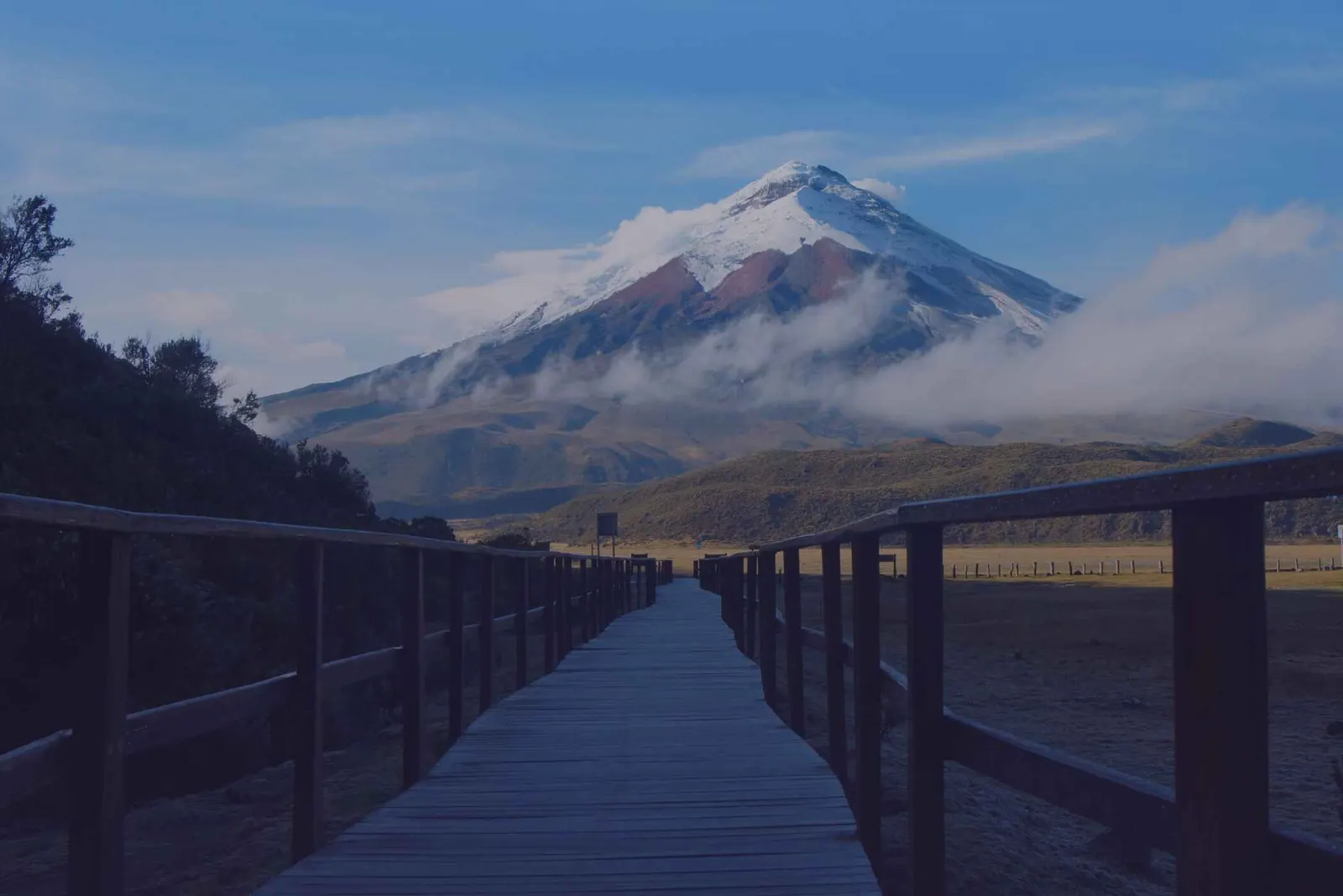 Holzsteg im Páramo mit Blick auf den schneebedeckten Cotopaxi