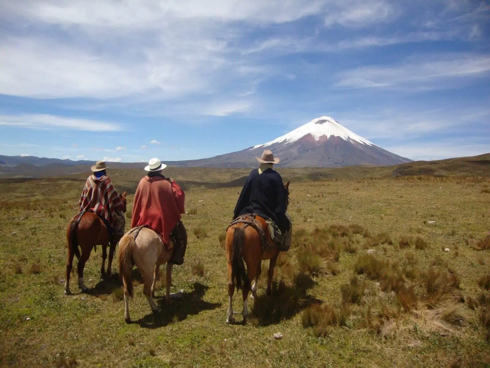 Reisegruppe zu Pferd im Páramo vor dem Cotopaxi