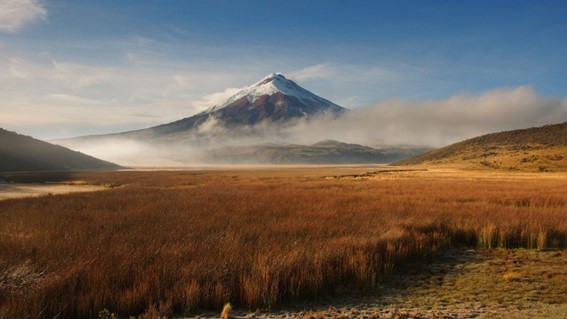 Blick von den Feldern in der Nähe des Cotopaxi-Berges