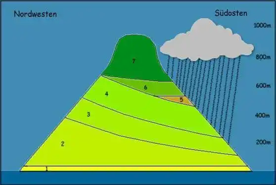 Galapagos Ökosystem Regen und Geländeschichten Infografik